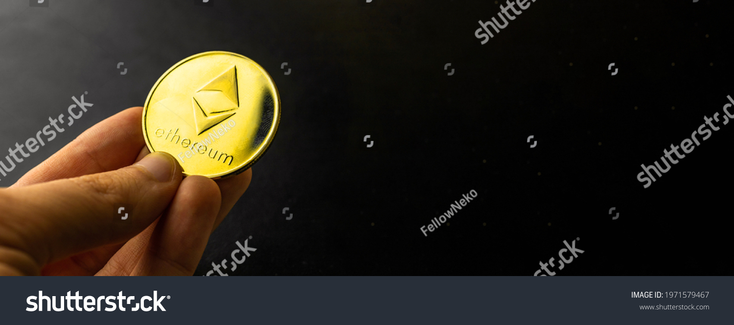 The 