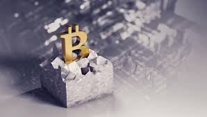 Bò v