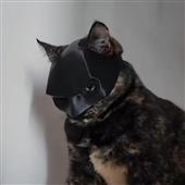 Cách