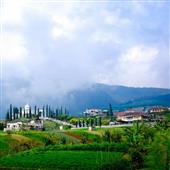 Phù 