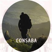 Cá V