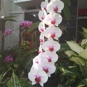 Bài 