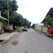 Tây 