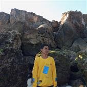 Hari