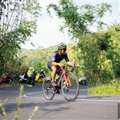 Quản