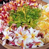 Giải