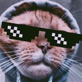 EWC 