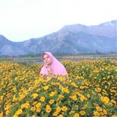 Bắn