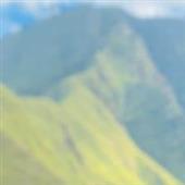 Đề x