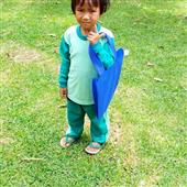 Giải