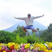 Kết 