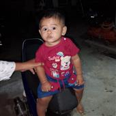 Alib