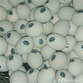 Vũ đ