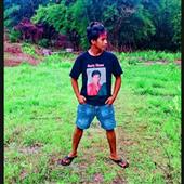 Flig
