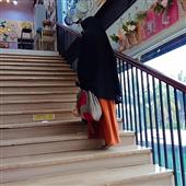 Chỉ 