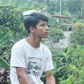 Bản