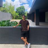 Cung