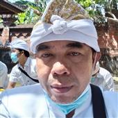 Gấu