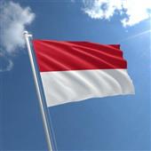 6 J