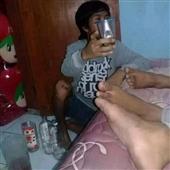 Rắn 