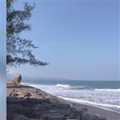 Chơi