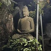 Bạo 