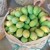 Quả