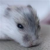 Cách