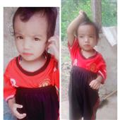 Luật