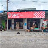 Trực