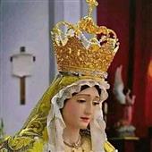 Trang cá cượ