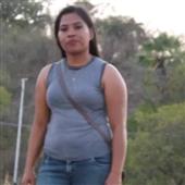 Gà V