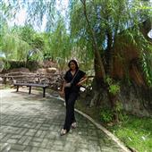 Hàng