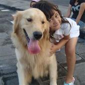 Stak