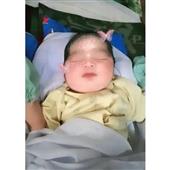 Cuốn