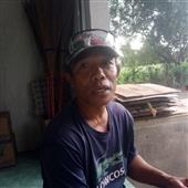 Trực