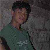 Bò V