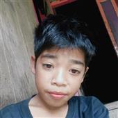 Gấu 