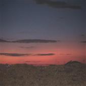 Giày