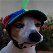 Liê