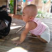 Lễ H
