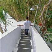 Mơ t