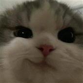 PHÚ 