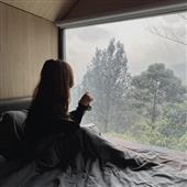 Tỉ l