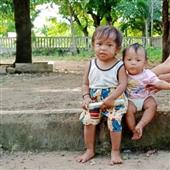 Cung