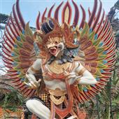 Husa