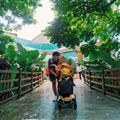 Nhật