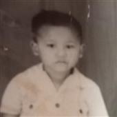 Chỉ 