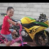 Luật