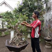 Thủ